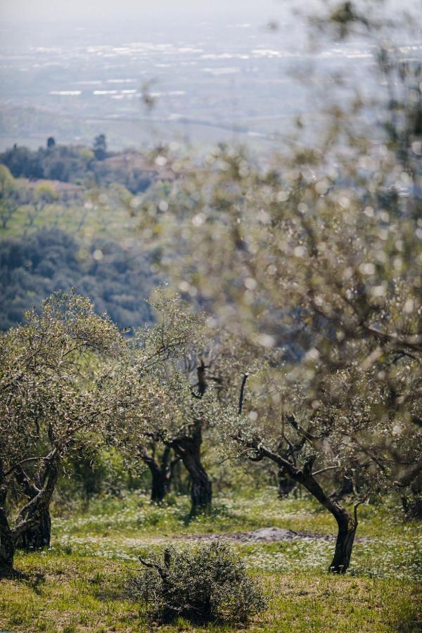Villa Desiderio Tuscany Pistoia Exteriör bild