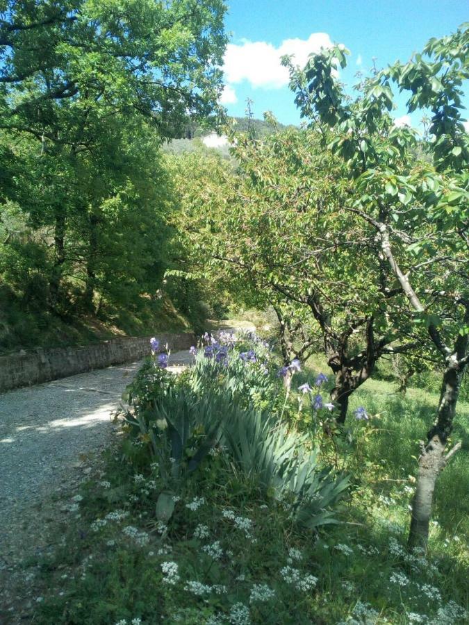 Villa Desiderio Tuscany Pistoia Exteriör bild